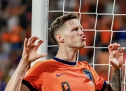 开云体育平台APP-关于荷兰队备战比利时，期待胜利的信息