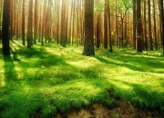 开云体育登录-若日尼奥接管排名争夺战，厄瓜多尔爆冷突尼斯背后的战术革命