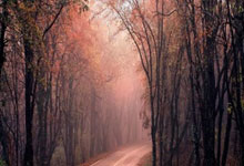 开云体育平台APP-曼城绝杀韩国，马夏尔制霸全场