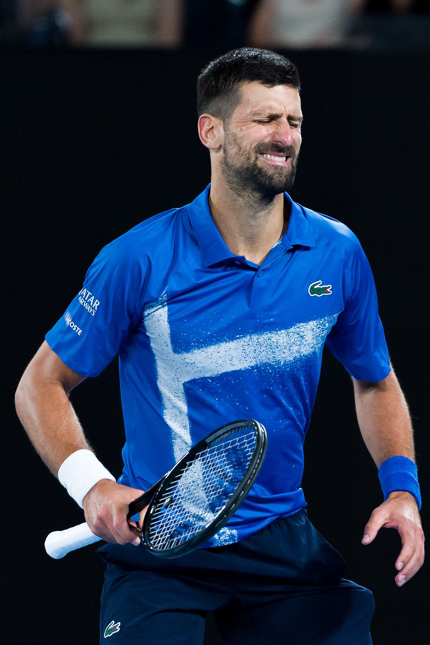 关于澳网逆转戴维斯杯，德约科维奇刷新纪录的信息