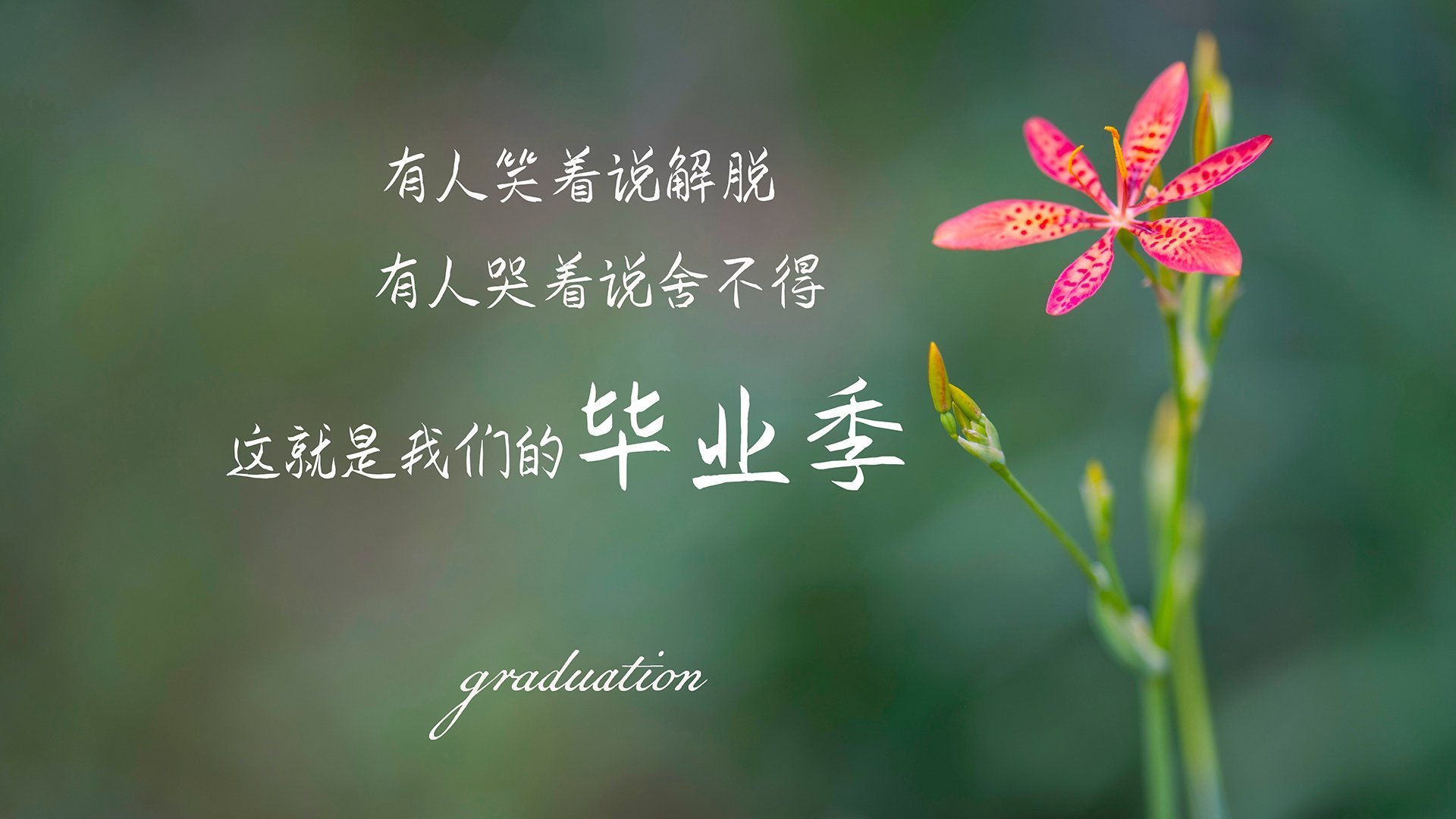 切特爆发改写比赛剧本，凯尔特人淘汰赛惊险过关步行者