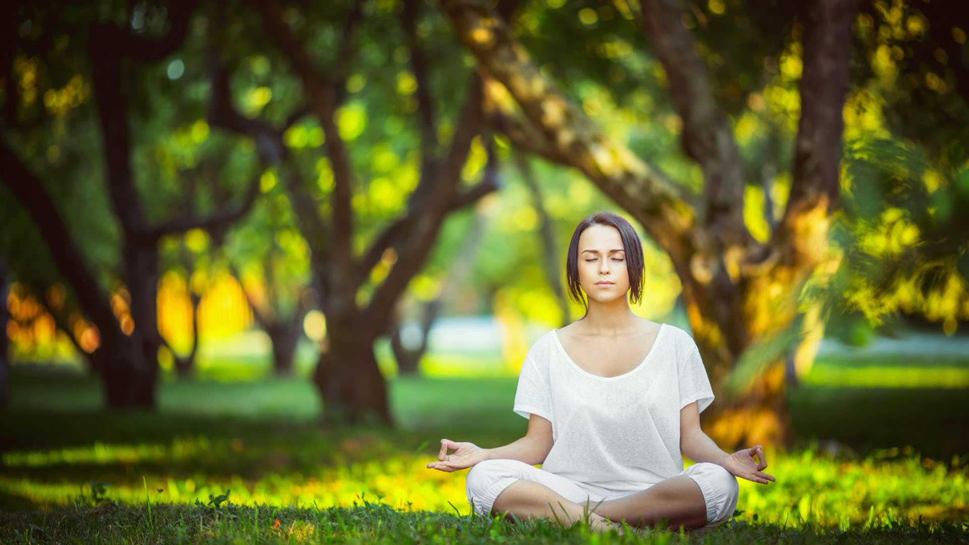 美网轻取温网,德约科维奇统治全场,网球世界的巅峰较量与独一无二的王者